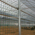 Grön PVC Belagd Euro Svetsad Wire Mesh Fence